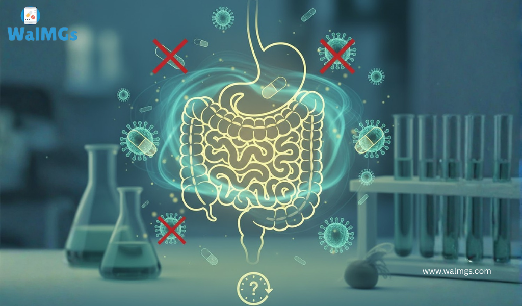 Gastrointestinal Infections Antibiotics